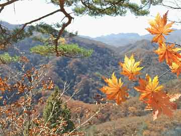 朝鲜军事领域重大试验 金正恩观摩朝鲜军事领域重大试验，金正恩观摩下的新篇章