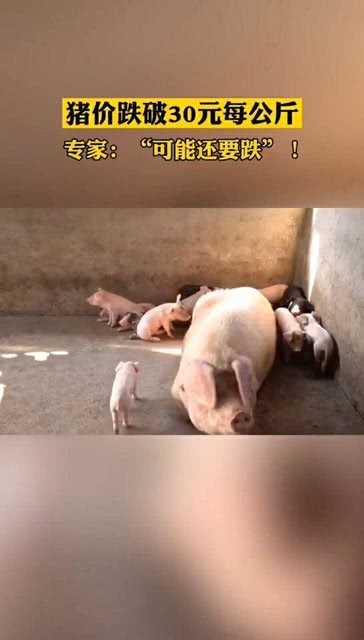 港澳新闻 第217页