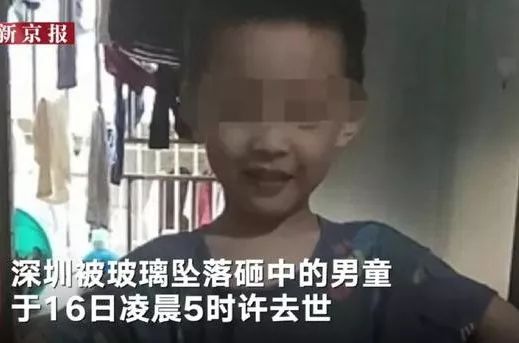 娱乐生活 第206页