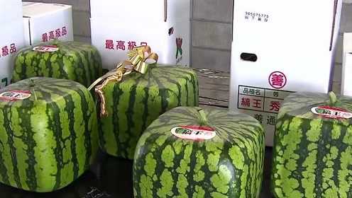 港澳新闻 第199页