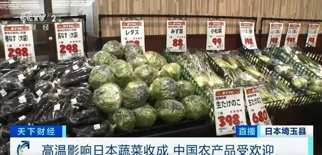游戏专题 第202页
