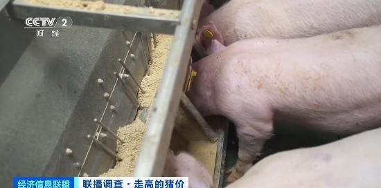 游戏专题 第173页
