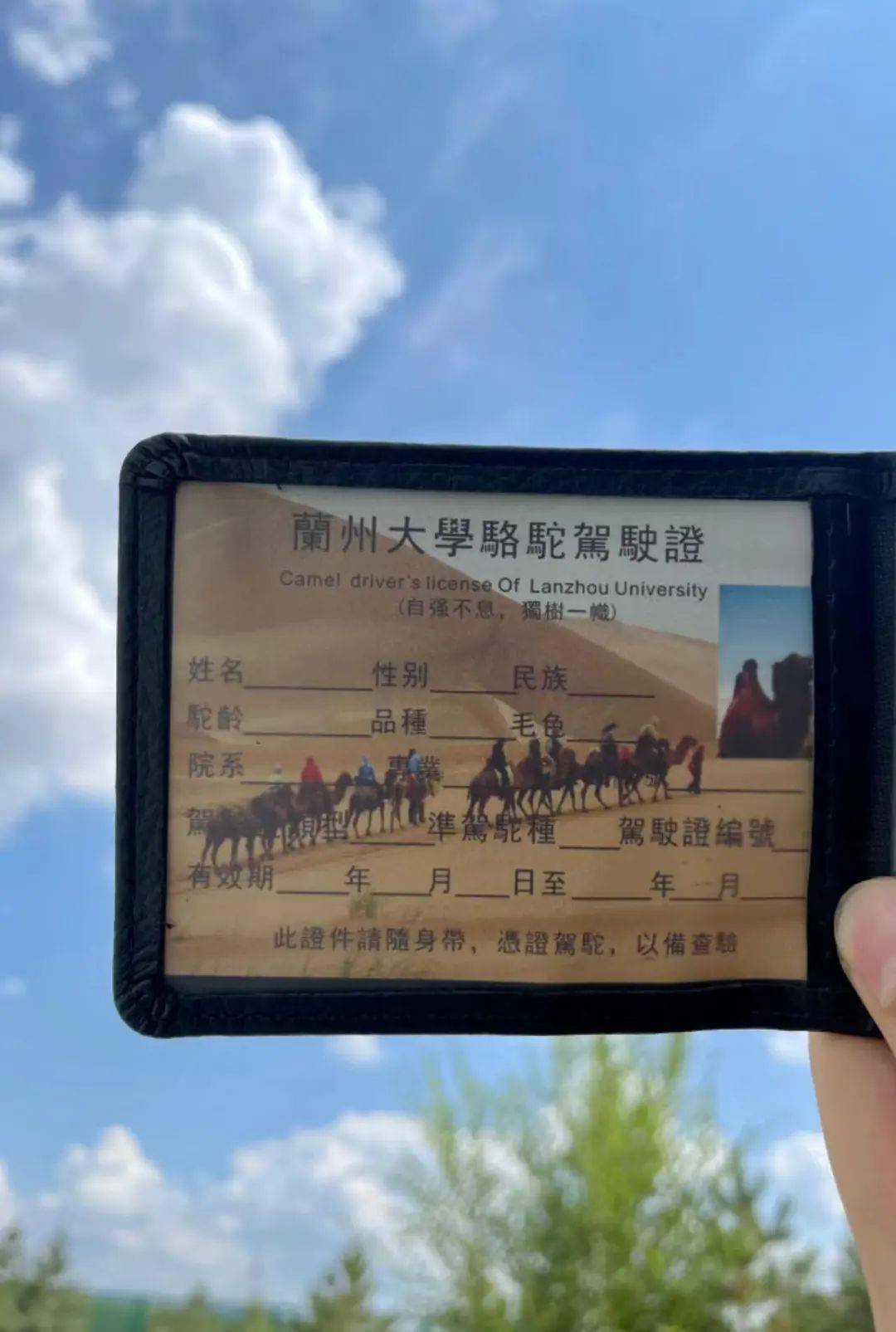 游戏专题 第105页