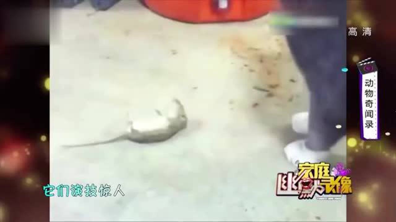 热点生活 第48页