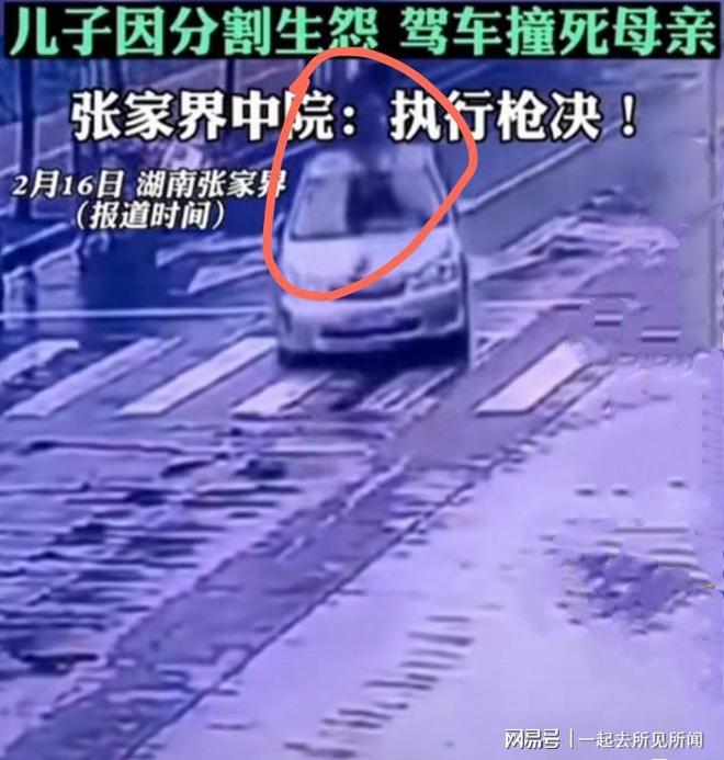 湖南男子开车撞死母女湖南男子开车撞死母女事件，深度分析与反思